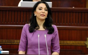Sabina Aliyeva: "Some medical services should also be included in the mandatory medical insurance package"