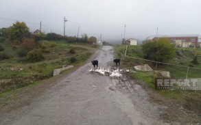 Oğuzda uzun illərdir təmir olunmayan yol yararsız vəziyyətə düşüb