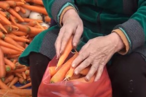 Dünya bazarına çıxan Azərbaycan məhsulu - VİDEO