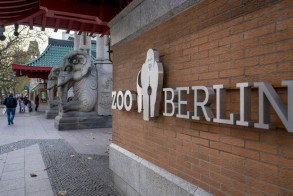 Berlin Zooparkı quş qripinə görə gözlənilmədən bağlandı