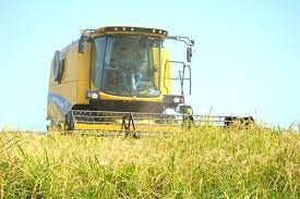 Rice harvest has ended in Azerbaijan