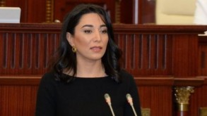 "Ölkəmiz əleyhinə qətnamənin qəbulu Fransanın Senatının beynəlxalq hüquqa hörmətsizliyini bir daha sübut edir"