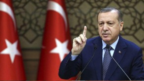 Президент Турции поведал, сколько агропродукции вывезли с Украины по «зерновому коридору»