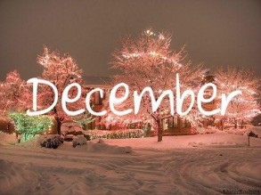 ETSN official: The beginning of December will be more gloomy, there will be intermittent rain