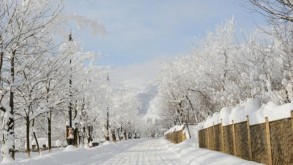 13 cm of snow fell in Dashkasan - ACTUAL WEATHER