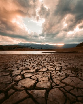 Immediate action should be taken against drought: Experts