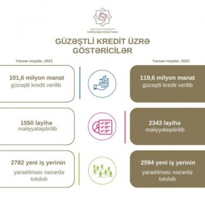 Güzəştli kreditlərin həcmi açıqlandı