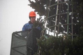 Illia Ponomarenko writes that Kyiv’s main Christmas tree is being installed today