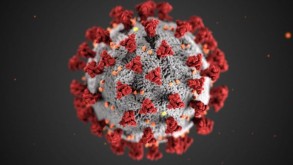 The number of people infected with coronavirus in the world reaches 653 million