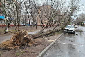 В Баку сильный ветер повалил деревья