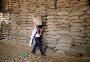 Modi's popularity key to selling cut in food aid ahead of Indian elections