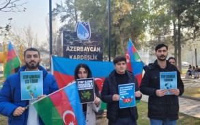 Azərbaycanlı gənclər Türkiyədə aksiya keçirdi