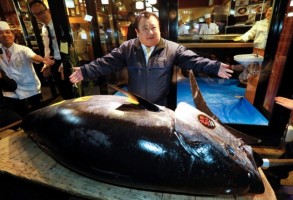 Yaponiyada 212 kiloqramlıq tuna balığı 271 min dollara satıldı
