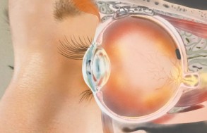 Конкурент Илона Маска разрабатывает глазные импланты с дополненной реальностью