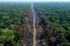 Brazilian Amazon deforestation up 150% in Bolsonaro’s last month