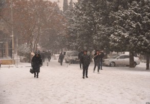Обнародовано число лиц, пострадавших в результате снегопада