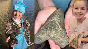 9 yaşlı uşaq nəsli kəsilmiş köpək balığının dişini tapdı