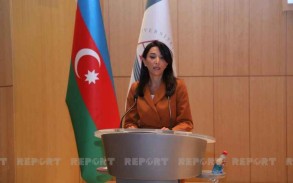 Azerbaijani ombudsman informs OIC fact-finding mission about Armenia's provocations