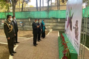 Patriotic War martyrs commemorated in Tehran - PHOTO
