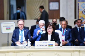 Turkestan Declaration adopted in plenary meeting of TURKPA