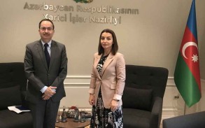 Leyla Abdullayeva meets with Pakistan's ambassador to Azerbaijan