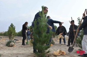 Diplomats planted trees in Magara village of Tartar