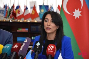 Azerbaijani ombudsman issued statement on international environmental crimes committed by Armenians