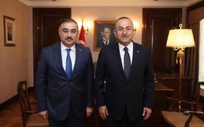 Turkish FM meets new Azerbaijani envoy to Ankara