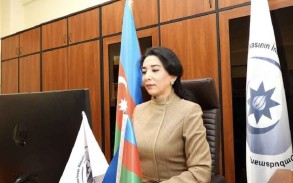 <strong>Омбудсмен обратилась в международные организации в связи с провокацией Армении</strong>