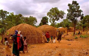 Lassa fever kills 102 people in Nigeria