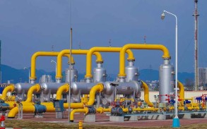 Parviz Shahbazov mulls possibilities for future increase in gas supplies via TAP