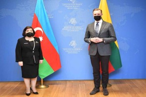 Chair of Milli Majlis Sahiba Gafarova meets Lithuanian Foreign Minister