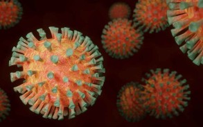 Virologist: New strains of coronavirus to be less pathogenic