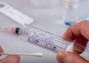 Armenia's coronavirus death toll reaches 8338