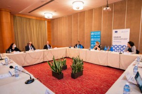 WHO experts visit Azerbaijan