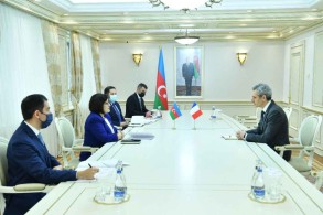 Chair of Azerbaijani Parliament meets French Ambassador to Azerbaijan