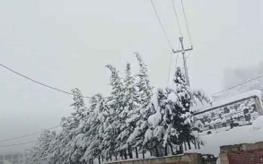 “Azərişıq”: “Cəlilabadın kəndlərində işıqla bağlı yaranmış problem həll olunub"-Video