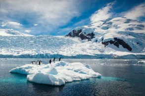 Antarctica hits record temperatures, say experts