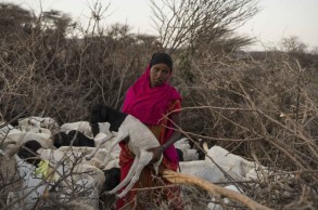 Close to 2M children risk starving to death in Horn of Africa: UN