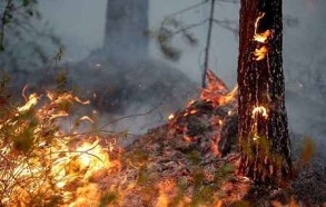 Number of injured people in Russia’s Krasnoyarsk Territory fires climbs to 19