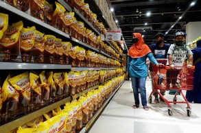 Indonesian farmers decry palm oil export ban as prices plummet