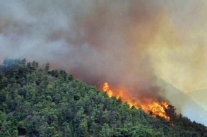 Wildfire rages near Athens, damaging homes