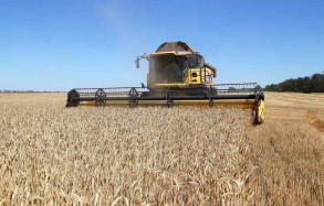 Four routes to export grain from Ukraine