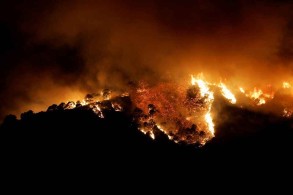 Wildfire in southern Spain forces town evacuation