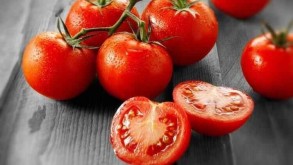 Azərbaycan pomidorunda virus AŞKARLANDI: 47 ton...