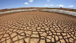 ‘No sign of rain’: Citizens despair as drought devastates Somalia