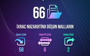 Bu il Energetika Nazirliyi tərəfindən 66 icazə verilib