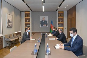 Azerbaijani FM met Swedish Ambassador