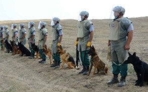  195 mines found in Azerbaijan's liberated territories