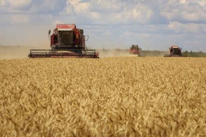 Ukraine works to resume grain exports, flags Russian strikes as risk